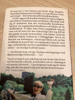 Fr&aring;n vaggan till deadline