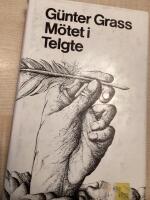 M&ouml;tet i Telgte : en ber&auml;ttelse