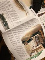 P&aring; Skansen : Ett Sverige i miniatyr