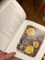 Blomboken fr&aring;n Marholmen