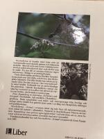 Seychellerna : fristad i oceanen : [en bok om unik natur p&aring; isolerade &ouml;ar]