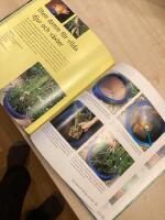 H&auml;rliga tr&auml;dg&aring;rdar f&ouml;r barn. Fantasifulla id&eacute;er om hur man kan underh&aring;lla, l&auml;ra och roa barnen skapa ett stimulerande landskap f&ouml;r skoj och fantasi. S&auml;kra lekar f&ouml;r barn i alla &aring;ldrar.