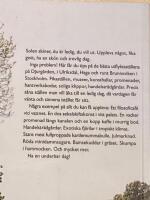 Fika, kika, njut : runt Djurg&aring;rden och Brunnsviken