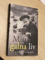 Mitt galna liv : en memoar om psykisk sjukdom