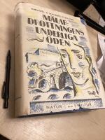 M&auml;lardrottningens underliga &ouml;den