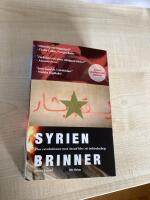 Syrien brinner : hur revolutionen mot Assad blev ett inb&ouml;rdeskrig