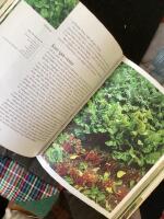 Handbok f&ouml;r k&ouml;kstr&auml;dg&aring;rden