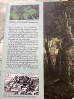 Den v&auml;xande staden : Stockholms bebyggelse- och naturhistoria