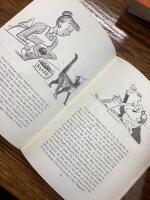 Konsten att umg&aring;s med en finurlig katt