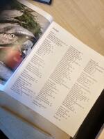 Str&ouml;mming och sill