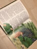 Hur leoparden fick sina fl&auml;ckar : ur Rudyard Kiplings Just s&aring;-historier