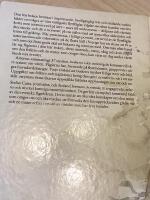 F&aring;glar om v&aring;ren : v&aring;ra vanligaste flyttf&aring;glar mellan mars och midsommar