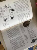 Till sj&ouml;ss : roligt att veta om fartyg och sj&ouml;folk