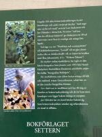 Hirkum Pirkum och andra br&auml;nnvinskryddningar