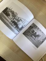 H&auml;starna i staden