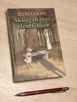 Skuggan &ouml;ver stenb&auml;nken