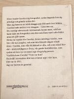 Skuggan &ouml;ver stenb&auml;nken