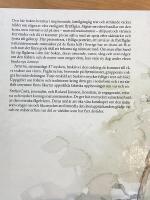 F&aring;glar om v&aring;ren : v&aring;ra vanligaste flyttf&aring;glar mellan mars och midsommar