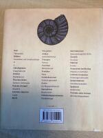 Matematik : Vad som &auml;r v&auml;rt att veta