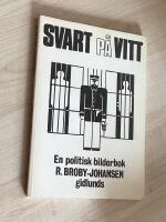 Svart p&aring; vitt : en politisk bilderbok