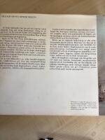 &Ouml;rlogsfartyg genom seklen