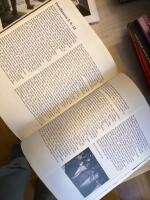 Amerikanska bilder : en personlig resa genom det svarta Amerika