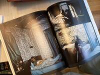 Amerikanska bilder : en personlig resa genom det svarta Amerika