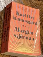 Morgonstj&auml;rnan