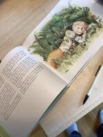 R&aring;ttprinsessan eller Pojken som ville uppleva n&aring;got underbart