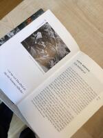 Lyckad nedfrysning av herr Moro