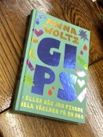 Gips eller n&auml;r jag fixade hela v&auml;rlden p&aring; en dag