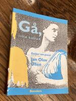 G&aring;, lilla ballad, och finn min h&auml;rskarinna : ess&auml;er om poesi