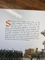 Ryssh&auml;rjningarna p&aring; Ostkusten sommaren 1719