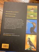 Mellan vingspetsarna : bilder ur f&aring;glarnas liv - fr&aring;n &Ouml;land till Antarktis