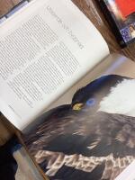 Mellan vingspetsarna : bilder ur f&aring;glarnas liv - fr&aring;n &Ouml;land till Antarktis