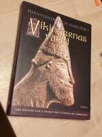 M&auml;nniskor och makter i vikingarnas v&auml;rld
