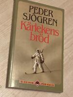 Kaf&eacute;liv : f&ouml;rfattare p&aring; kaf&eacute; under hundra &aring;r : Wien, Prag, Budapest, Berlin, M&uuml;nchen