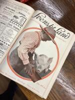 Svenskt land - illustrerad tidskrift