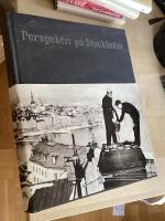 Perspektiv p&aring; stockholm