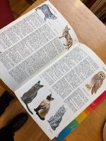 Bonniers uppslagsbok i f&auml;rg