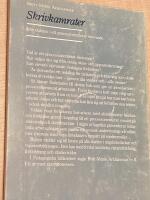 Skrivkamrater : [introduktion i ett processorienterat skrivande]