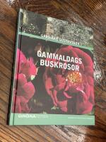 Gammaldags buskrosor