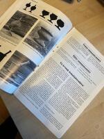 Sl&ouml;jda i tr&auml; : studieplan