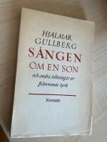 S&aring;ngen om en son och andra tolkningar av fr&auml;mmande lyrik