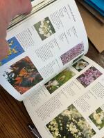 Latmanstr&auml;dg&aring;rden