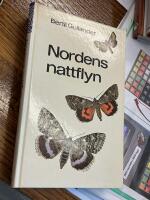 Nordens nattflyn
