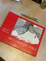 Mullrande &aring;ska : kampen f&ouml;r allm&auml;n och lika r&ouml;str&auml;tt 1902-1907