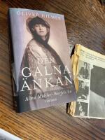 Den galna &auml;nkan : Alma Mahler-Werfels liv