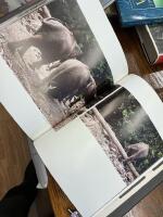 Skogens &ouml;ga - bilder fr&aring;n Borneos inre