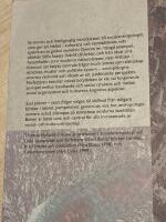 Sm&aring; platser - stora fr&aring;gor - en introduktion till socialantropologi